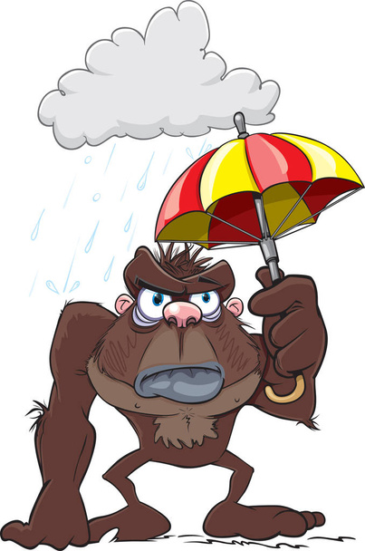 Gorilla sateessa
 - Vektori, kuva