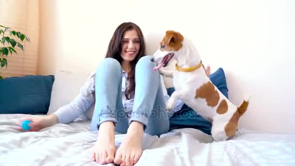 Chica miente y juega en la cama junto con gato perro russell terrier
 - Metraje, vídeo