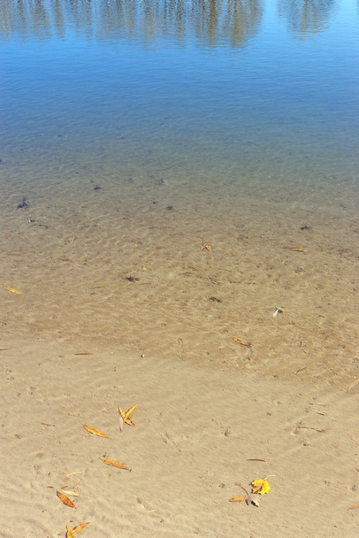 Bank of a river with clear water - Photo, Image