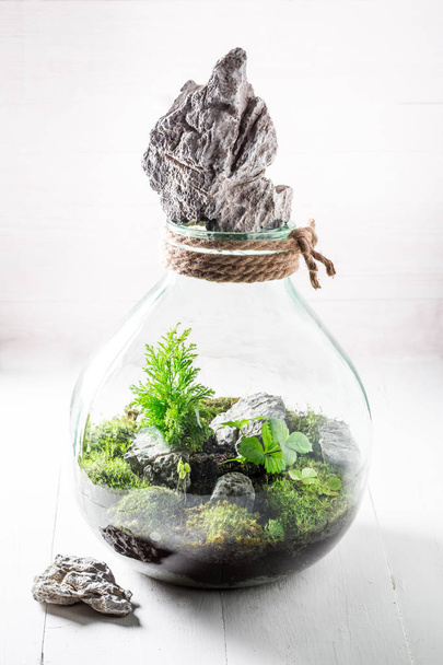 Small jar with live forest on white table - Foto, Imagen