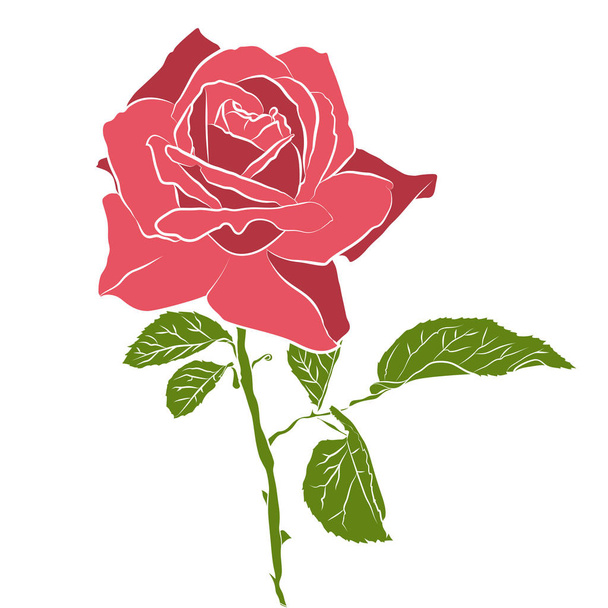 Beautiful hand drawn stencil rose, isolated on white background. Botanical silhouette of flower - Vetor, Imagem
