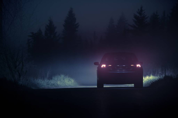Dense Fog Country Drive
 - Фото, изображение