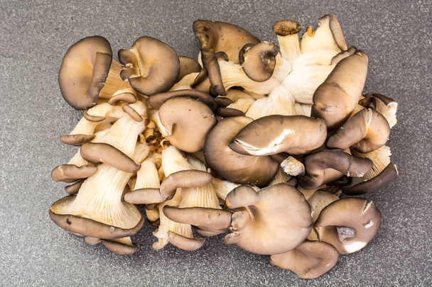 monte de cogumelos de ostra frescos
 - Foto, Imagem