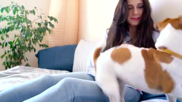 Girl lies and plays on bed together with dog jack russell terrier - Filmagem, Vídeo