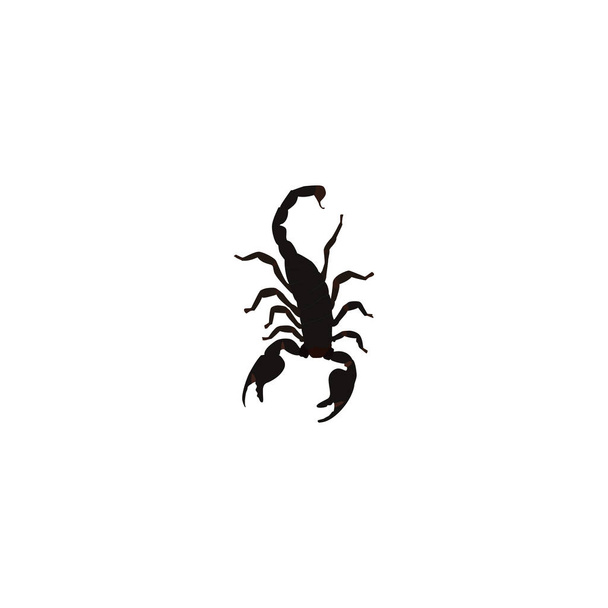 Realistyczne Scorpion Element. Wektor ilustracja realistycznych trujące czystego tła. Mogą być używane jako Scorpion, owadów i trujące symboli. - Wektor, obraz