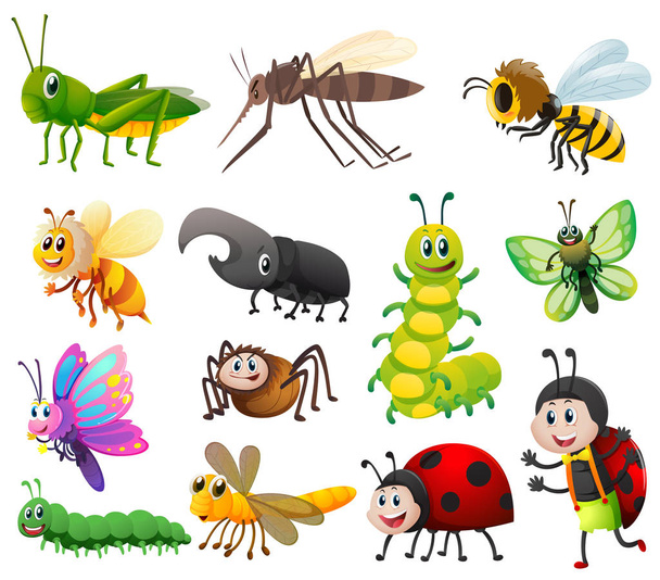 Diferentes tipos de insetos no fundo branco
 - Vetor, Imagem