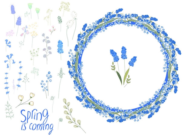 Primavera con huevos y primaveras azules - muscari y hepatica. Plantilla para tarjetas de felicitación de primavera
 - Vector, Imagen
