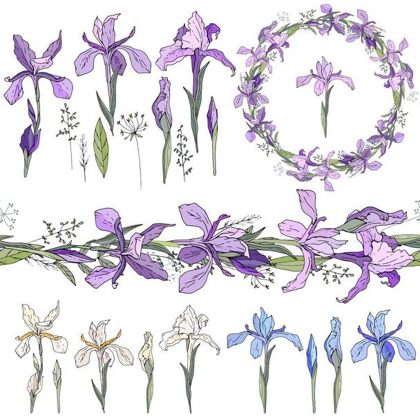 Blue irises - elements. Isolated objects, wreath and endless border - Vettoriali, immagini