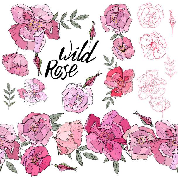 Wild rose elements. Isolated objects and endless border - Vektor, kép