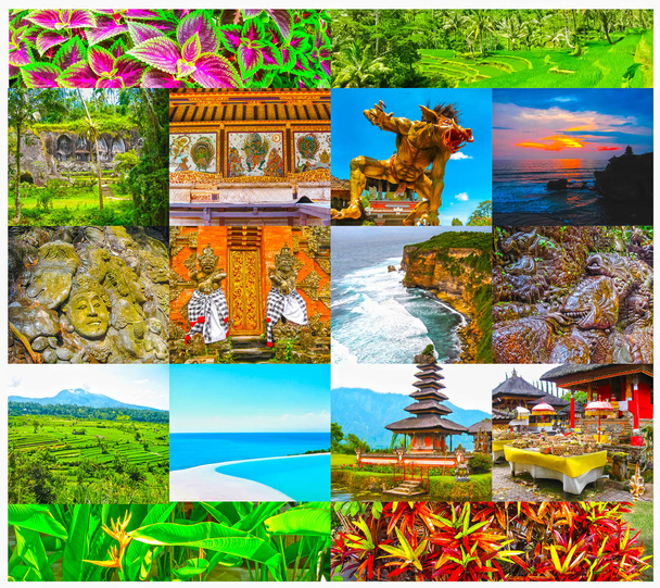 Set from images with views of Bali island - Photo, Image