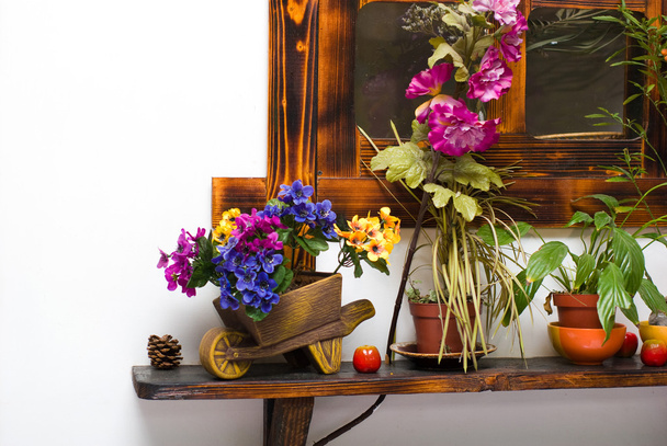 棚の上のさまざまな植木鉢から静物 - 写真・画像