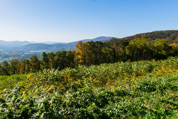 Skyline of The Blue Ridge Mountains in Virginia at Shenandoah Na - Photo, Image