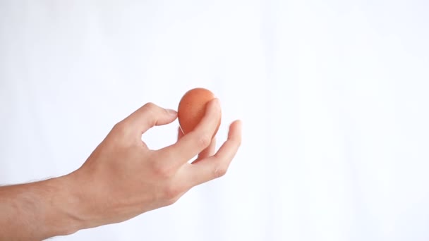 Mans hand holds a chicken egg on a white background - Záběry, video