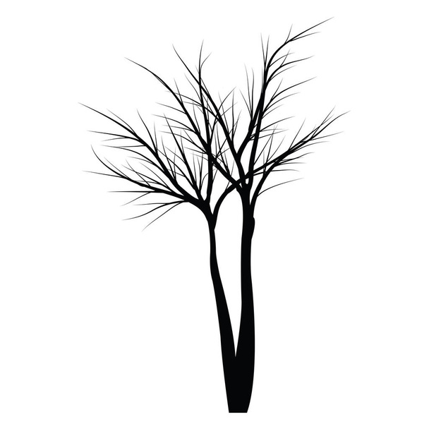 Arbres aux branches mortes
 - Vecteur, image