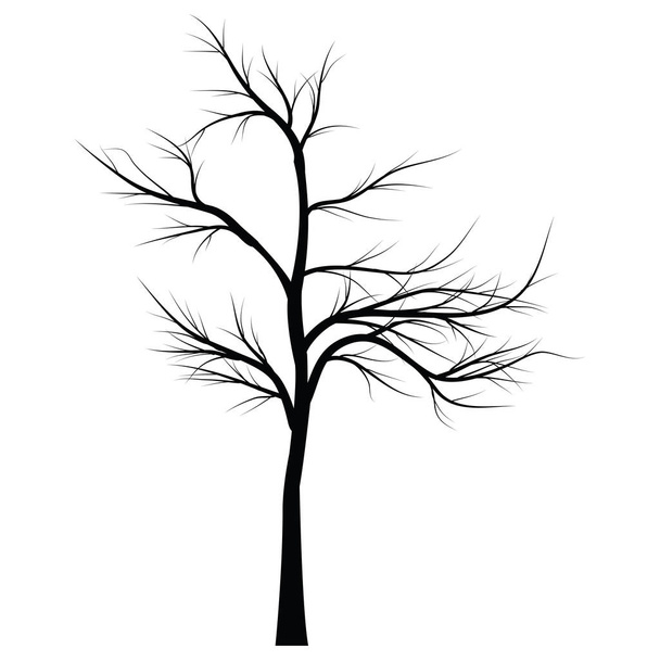 Árboles con ramas muertas
 - Vector, Imagen
