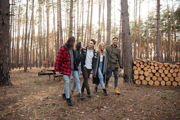 Happy group of friends walking outdoors in the forest. - Fotoğraf, Görsel