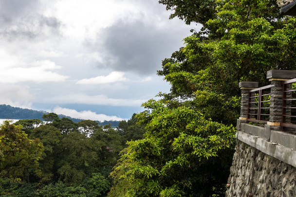 Eksoottinen trooppinen maisema. Balin sademetsän viidakko, Indonesia
. - Valokuva, kuva