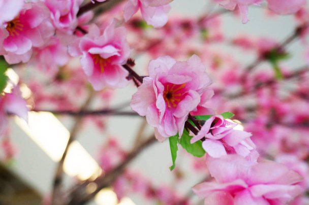 Весняно-рожевий пластиковий сакура квітка прикраси
  - Фото, зображення