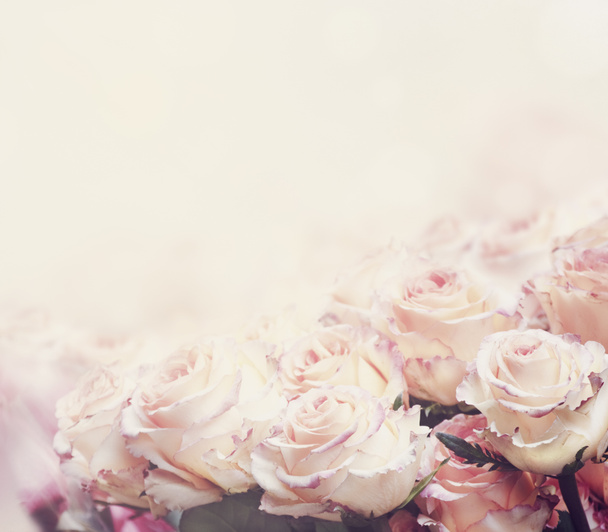 バラの花束フレーム デザイン - 写真・画像