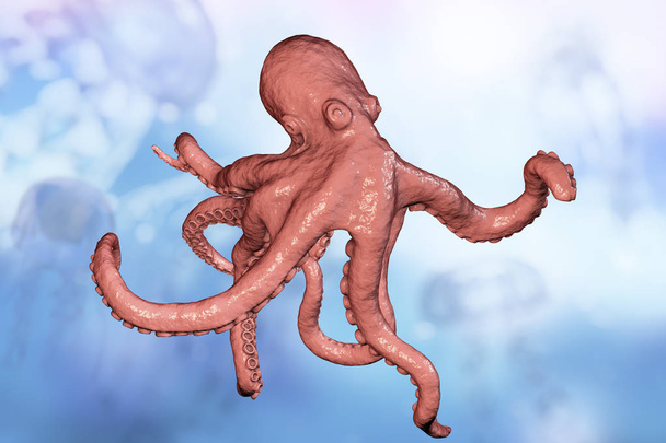 Octopus veden sisällä
 - Valokuva, kuva