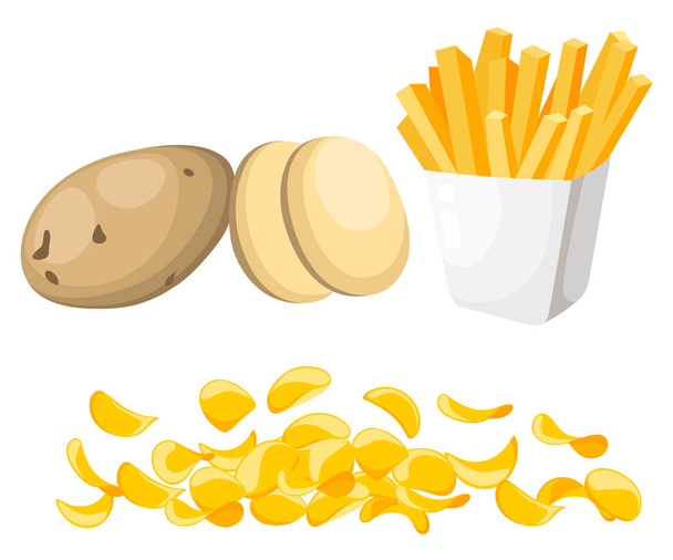 Ilustración vectorial aislada sobre fondo blanco Patatas Conjunto de enteras, rodajas, mitad, lóbulo, patata círculo patatas fritas Papas fritas
 - Vector, Imagen