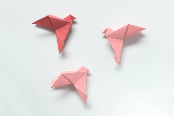 Pink Birds of different shades. Origami. The concept of freedom, - Foto, Bild