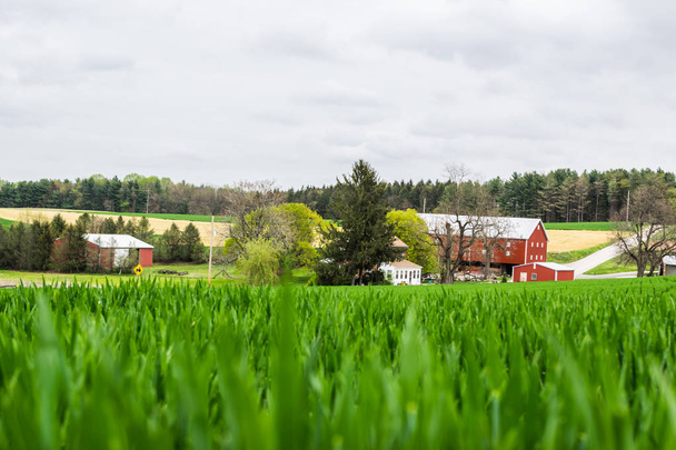 Paysage de terres agricoles luxuriantes autour du sud du comté de York pennsylva
 - Photo, image