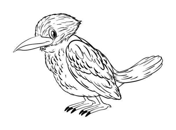 Animal doodle for little bird - Vector, Image