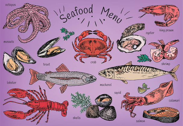 seafood menu, octopus, mussels, lobster, trout, shells, mackerel, crab, oyster, king prawns, shrimps, squid, salmon, calamari - ベクター画像