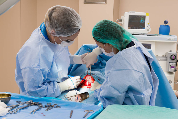 Хирургическая бригада проводит операцию. Врач-исполнитель
 - Фото, изображение
