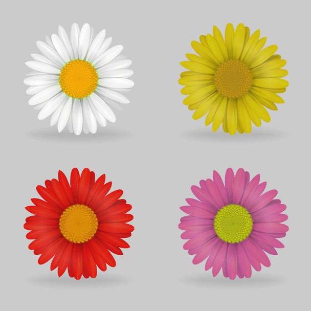 鮮やかなマルチカラー素敵なデイジー chammomile 花 - ベクター画像