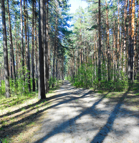 Light pine forest landscape, green bushes along the road strewn  - Фото, зображення