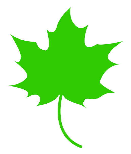 Зеленый кленовый лист
 - Вектор,изображение