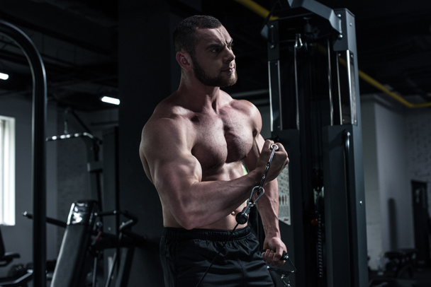 1 young bodybuilder doing biceps workout - Photo, Image