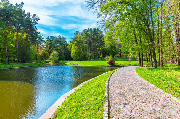 Summer scenery of the park alley with lake - Fotografie, Obrázek