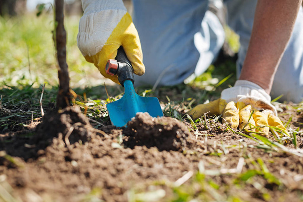 hands scooping soil in garden - Zdjęcie, obraz