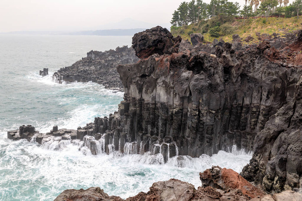 jusangjeolli cliff, jeju island, Südkorea - Foto, Bild