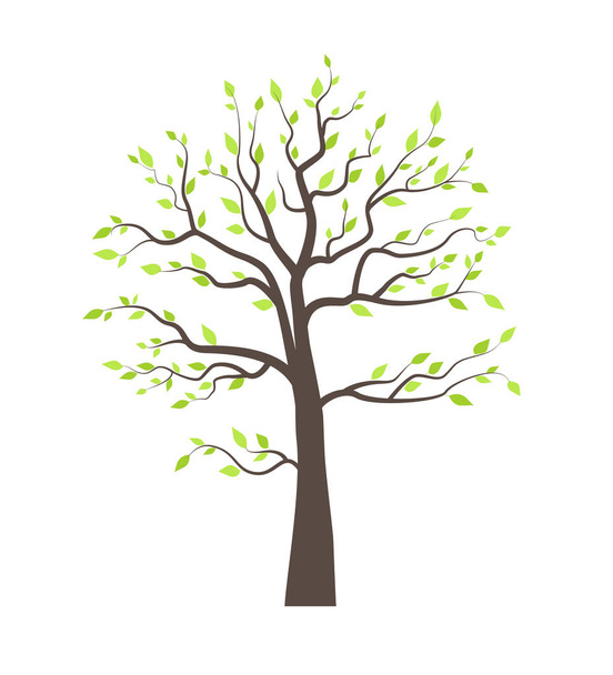 Trees with leaves - Vector, Image