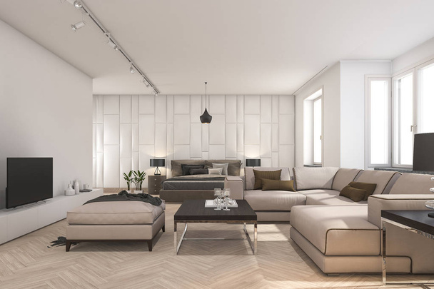 3D rendering Scandinavische woonkamer en slaapkamer met tv - Foto, afbeelding