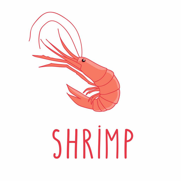 Shrimp. Cute Vector Illustration isolated on white background. - Vector, Image