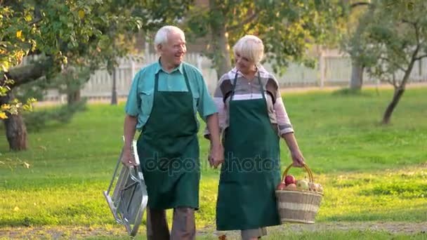 Happy senior couple holding hands - Footage, Video