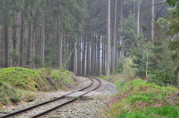 egyedülálló történelmi keskeny nyomtávú vasút. Dél-Csehország - Fotó, kép