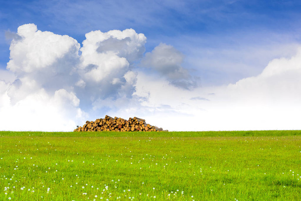 Prairie fleurie printanière avec ciel bleu et nuages
 - Photo, image