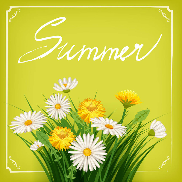 Summer lettering hand-drawn on a background of hamomile flowers, dandelion, banner, isolated, vector, illustration - Vetor, Imagem