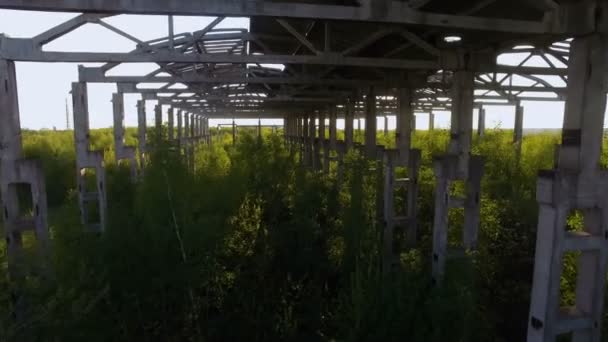 un bâtiment inachevé et abandonné recouvert d'arbres. contexte conceptuel
 - Séquence, vidéo