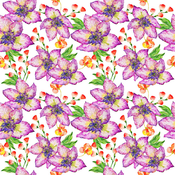 Flor silvestre patrón de flores de hibisco en un estilo de acuarela aislado
. - Foto, Imagen