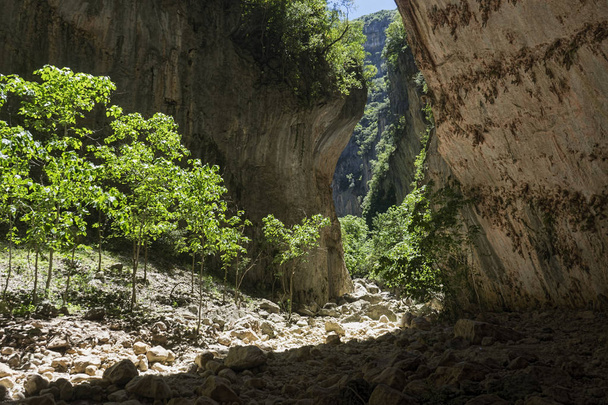 De groene Gorge in de natuurlijke park van Grazalema, Andalusië - Foto, afbeelding