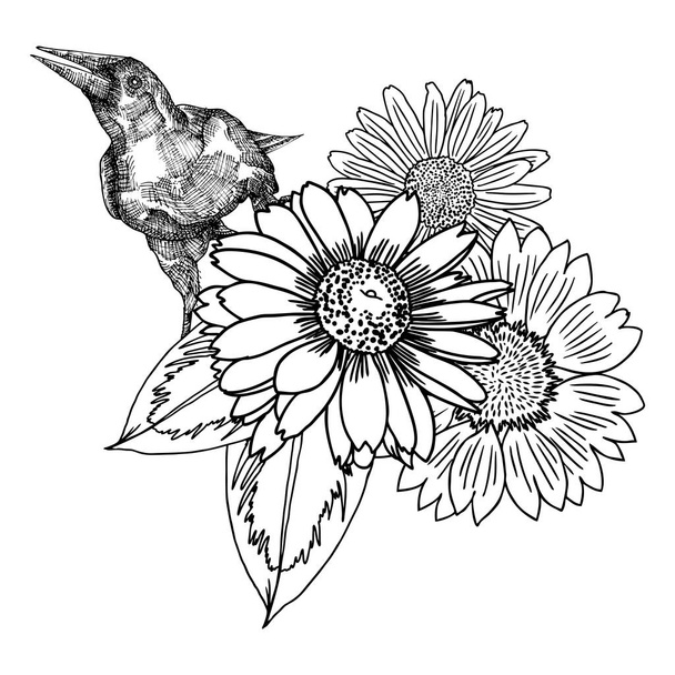 Bouquet flowers and bird illustration - Вектор,изображение