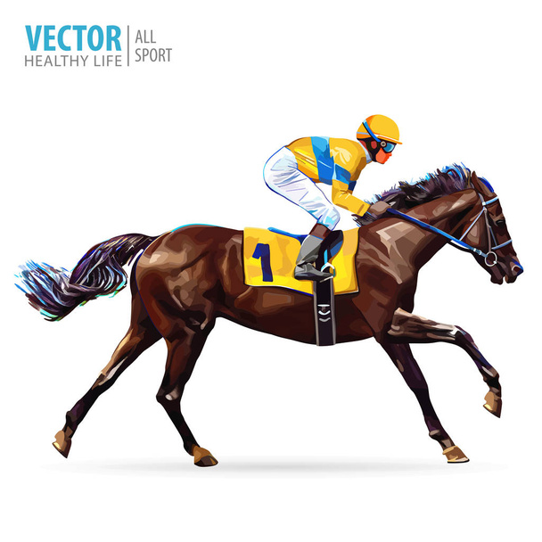 Jockey on horse. Champion. Horse racing. Hippodrome. Racetrack. Jump racetrack. Horse riding. Racing horse coming first to finish line. Vector illustration. - Vector, Image