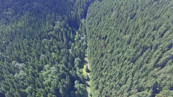 beautiful forest in Ukraine. Aerial view - Footage, Video